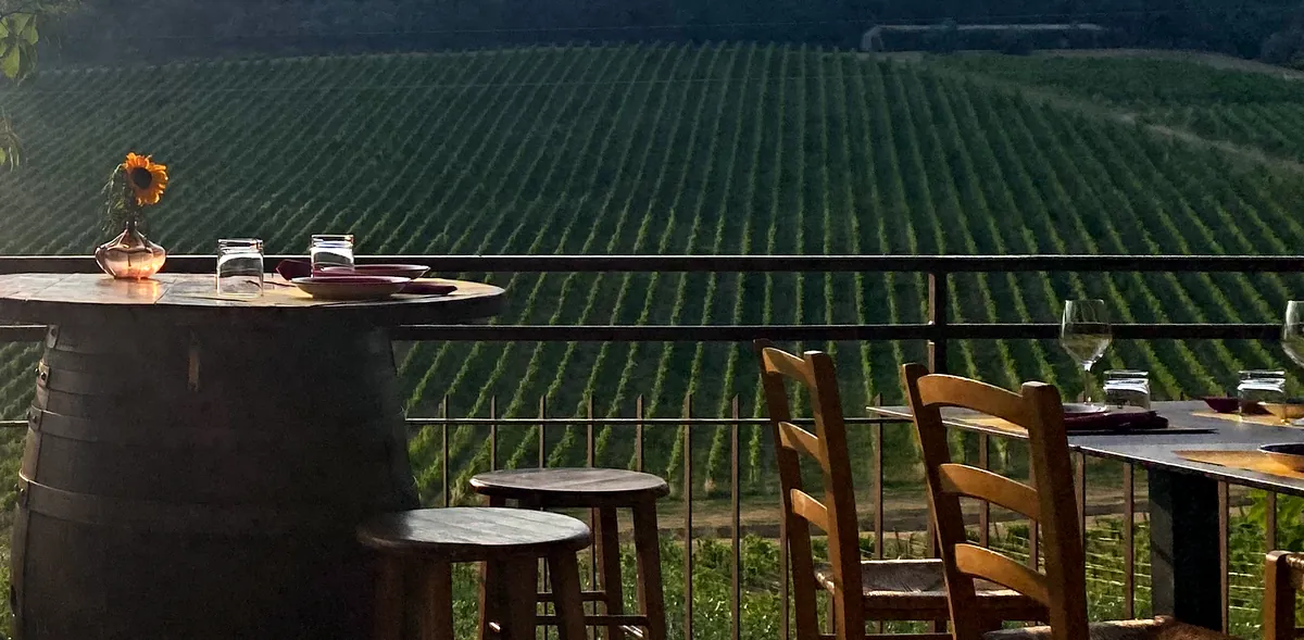 Terrasse de dégustation face aux rangs de vigne, en fin de journée.